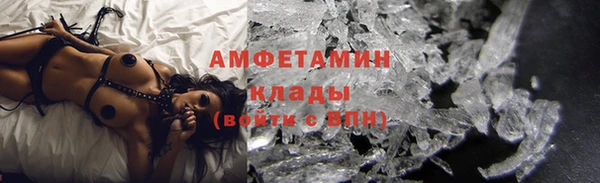 прущие грибы Верхний Тагил