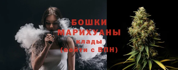 spice Богородицк