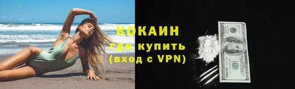 прущие грибы Верхний Тагил