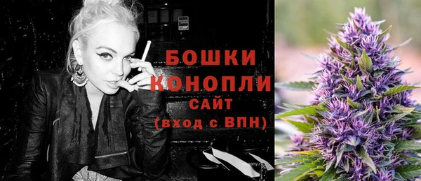 spice Богородицк