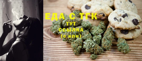 spice Богородицк