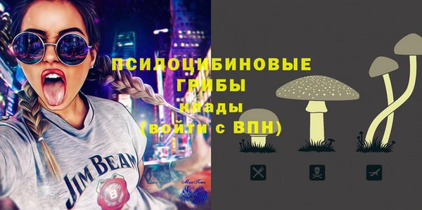 прущие грибы Верхний Тагил
