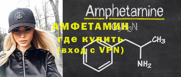 spice Богородицк