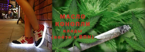 прущие грибы Верхний Тагил